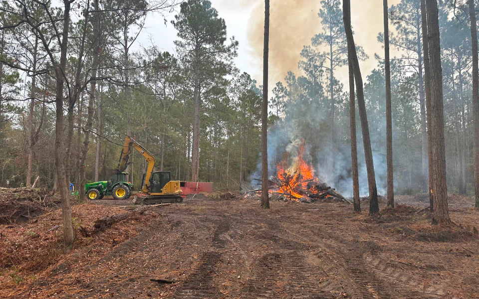 land clearing with some branches on fire