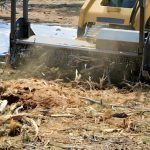 Forest Mulching