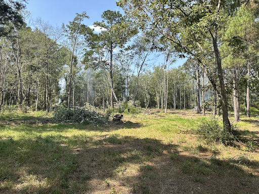 Land Clearing